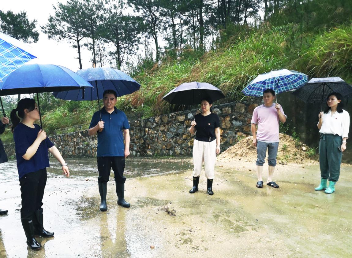 7月7日,罗田县公共资源交易中心党员干部到驻点村匡河镇施家畈村参加